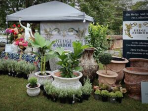 Hedge And Arbour