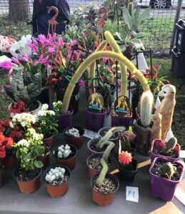 Bill’s Succulents and Cactus