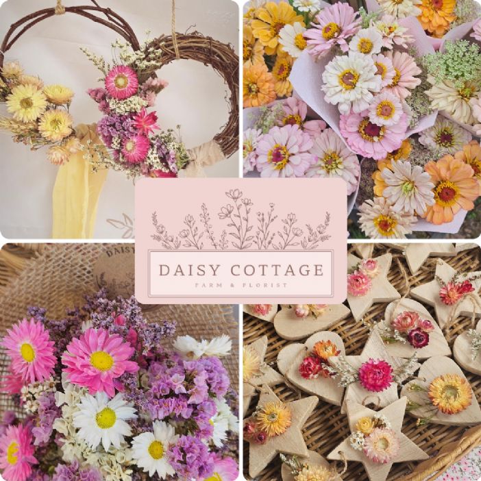 Daisy Cottage